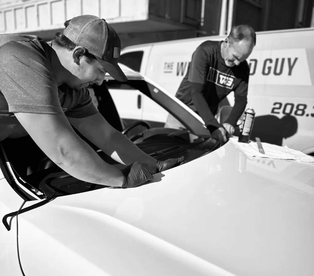 Elite Auto Glass Team